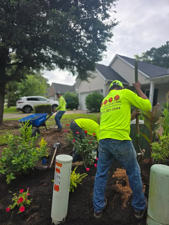 BNC Landscaping crew caring for and installing healthy plants